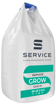 SERVICE CROW SAVE N+