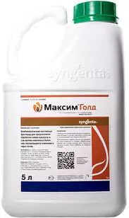 МАКСИМ ГОЛД, КС